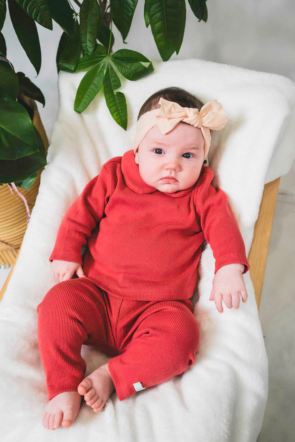 Derby Rib Pink Collared Shirt (Baby Girl)