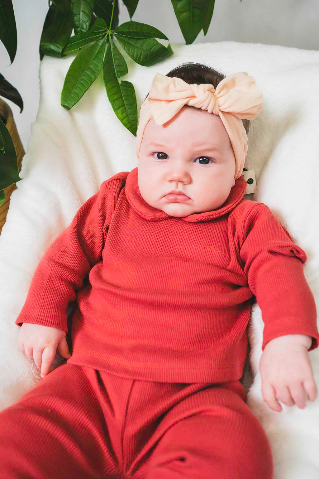 Derby Rib Pink Collared Shirt (Baby Girl)